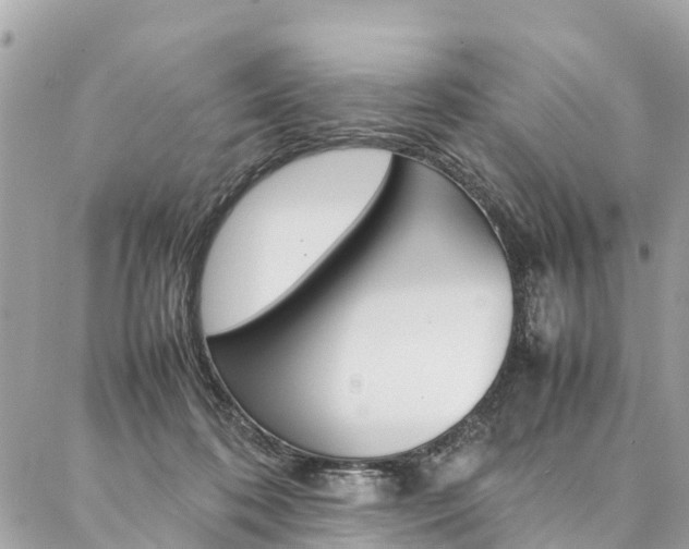 X0000086890316200704161012