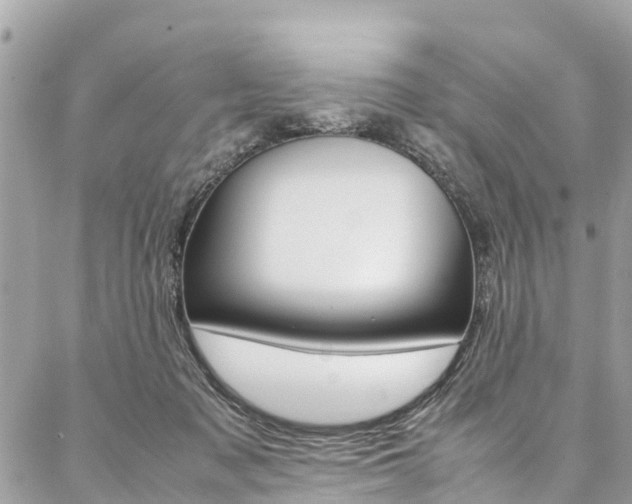 X0000086890317200704161012