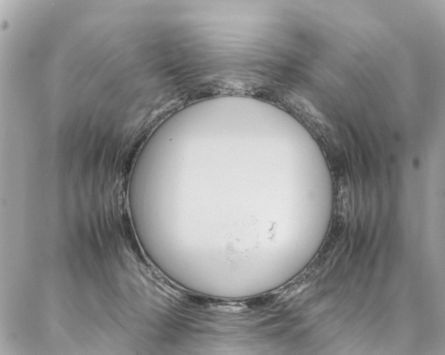 X0000086890318200704161012