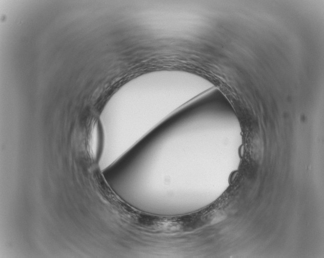 X0000086890319200704161012