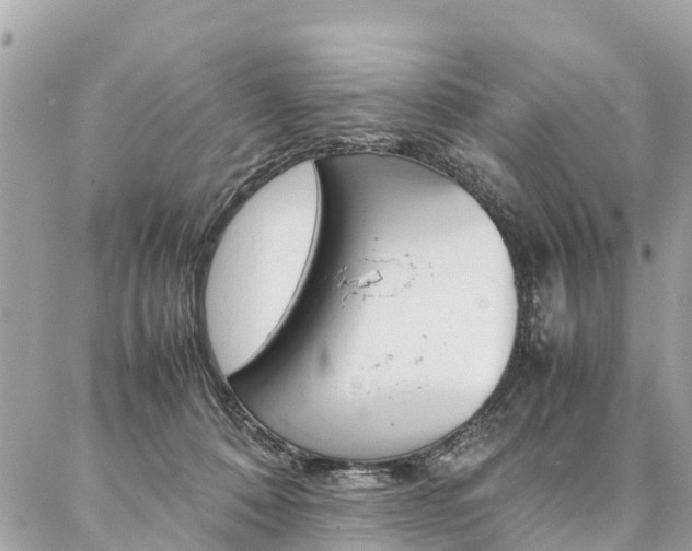 X0000086890320200704161012