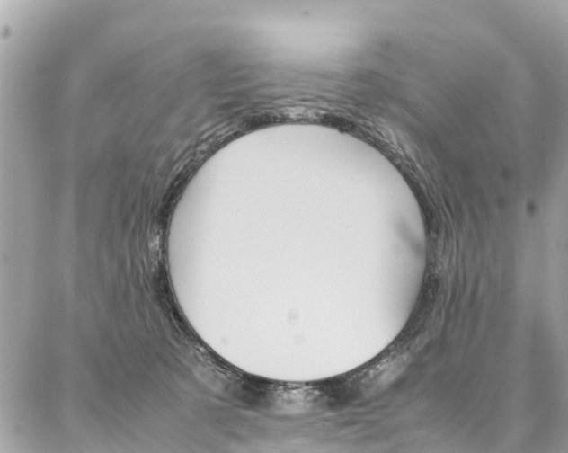 X0000086890321200704161012