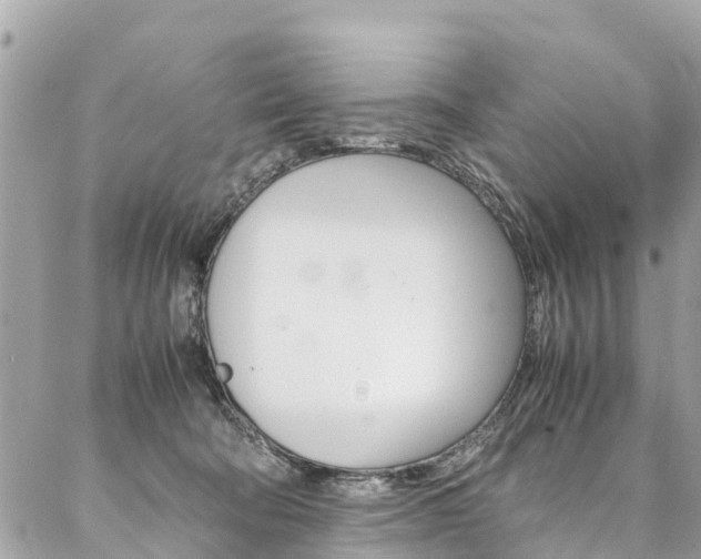 X0000086890322200704161012