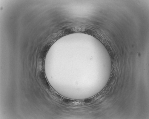 X0000086890323200704161012