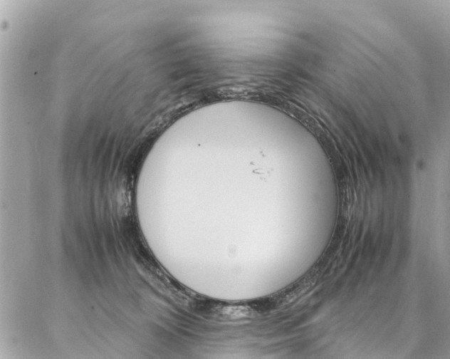 X0000086890324200704161012