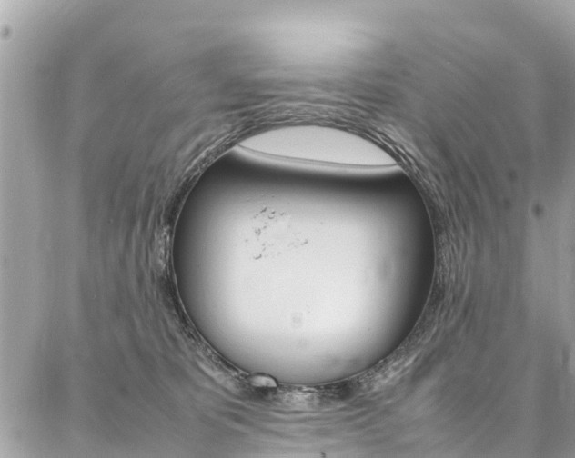 X0000086890325200704161012