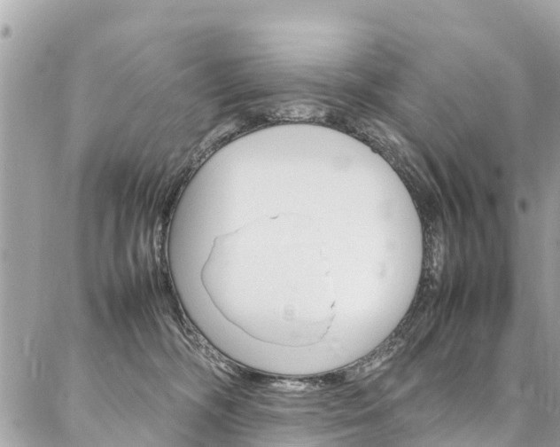 X0000086890326200704161012