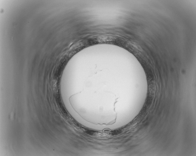 X0000086890327200704161012