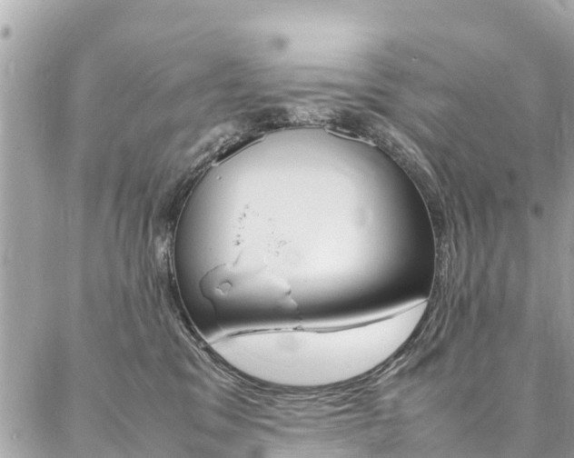 X0000086890329200704161012