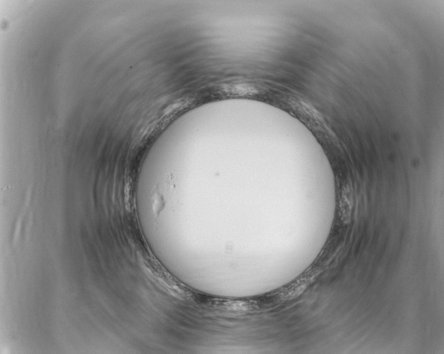 X0000086890330200704161012