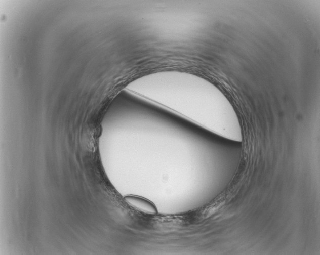 X0000086890331200704161012