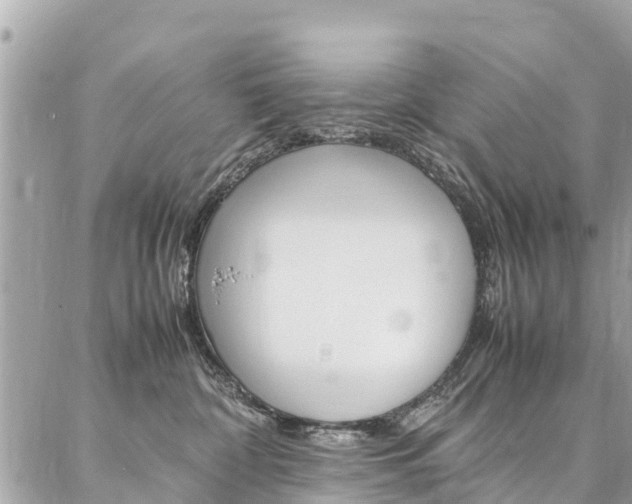 X0000086890332200704161012