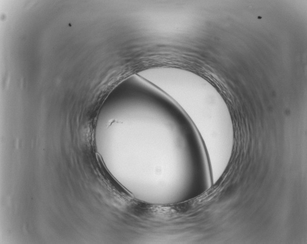 X0000086890333200704161012