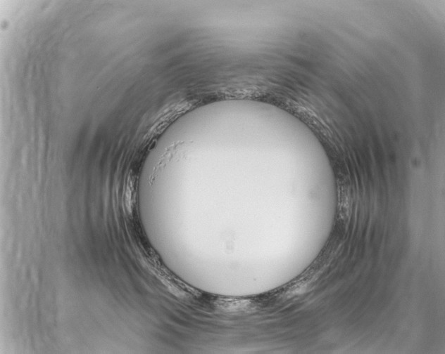 X0000086890334200704161012