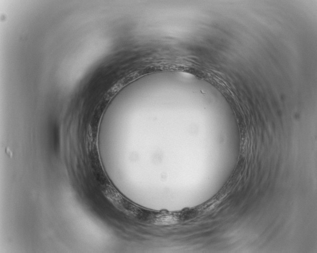 X0000086890335200704161012