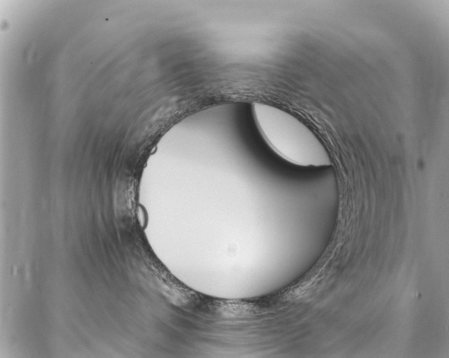 X0000086890336200704161012