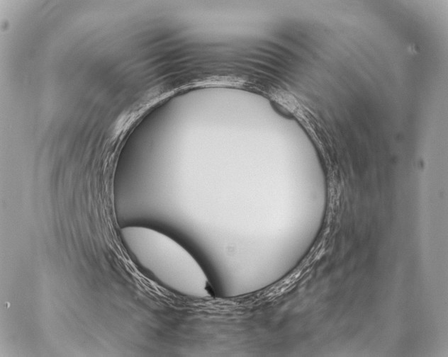 X0000086890337200704161011