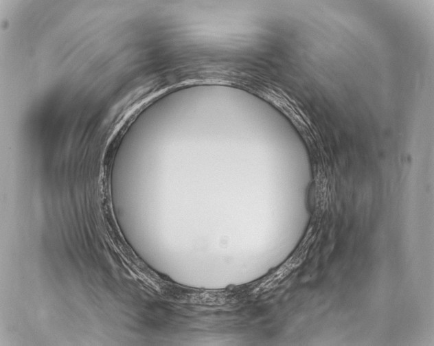 X0000086890338200704161011