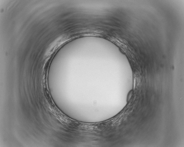 X0000086890339200704161011