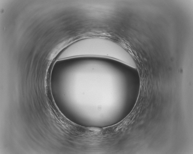 X0000086890340200704161011