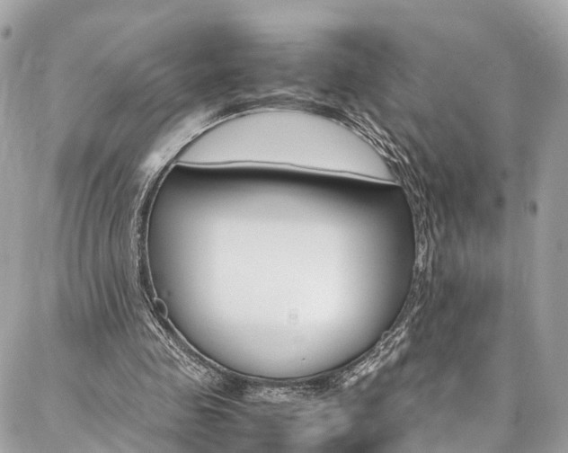 X0000086890341200704161011