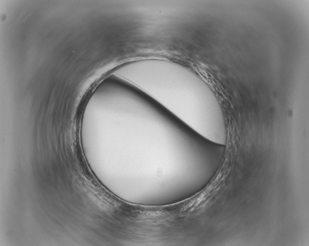 X0000086890342200704161011