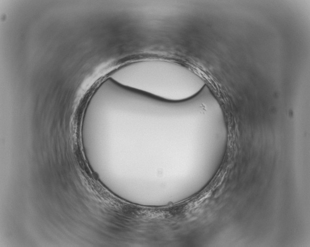 X0000086890343200704161011