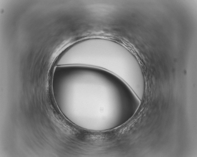 X0000086890344200704161011