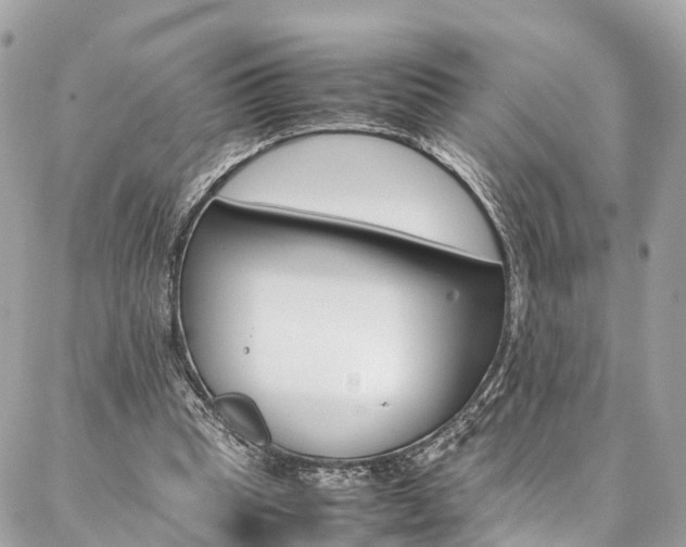 X0000086890345200704161011