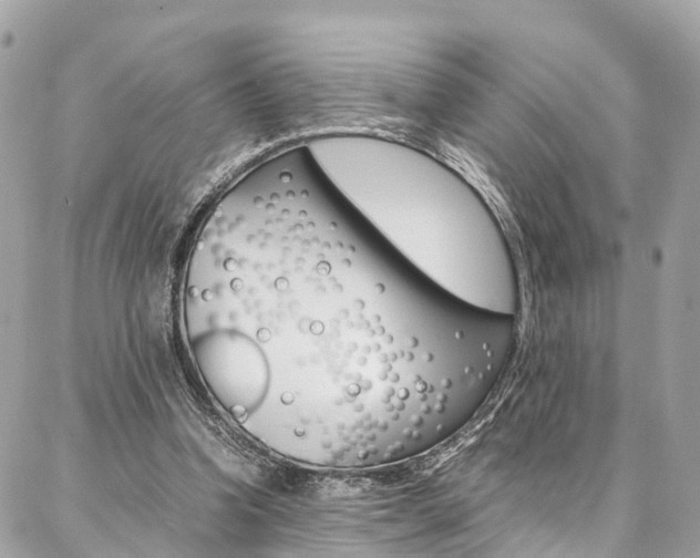 X0000086890346200704161011