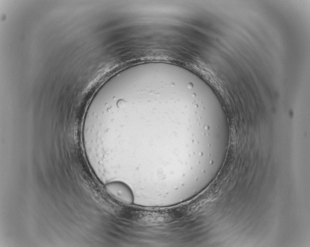 X0000086890347200704161011