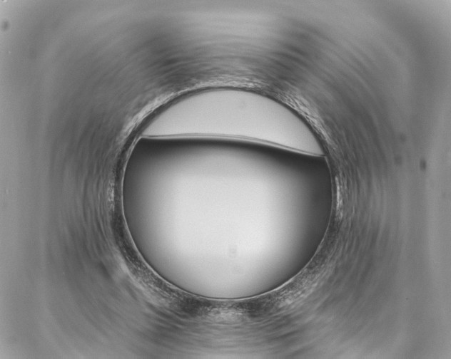 X0000086890348200704161011