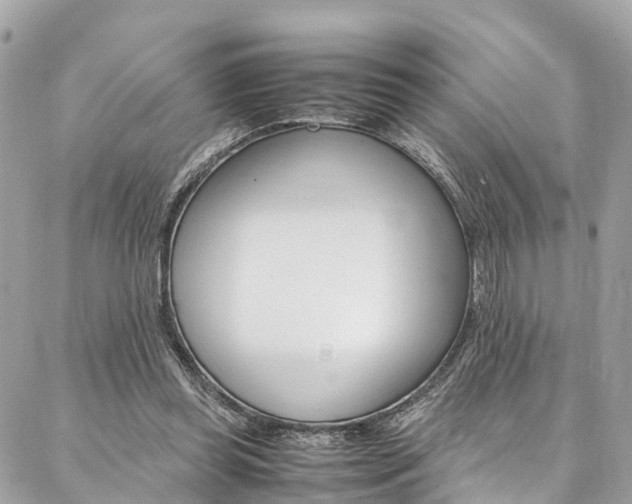 X0000086890349200704161011