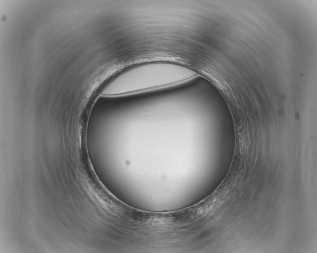 X0000086890350200704161011