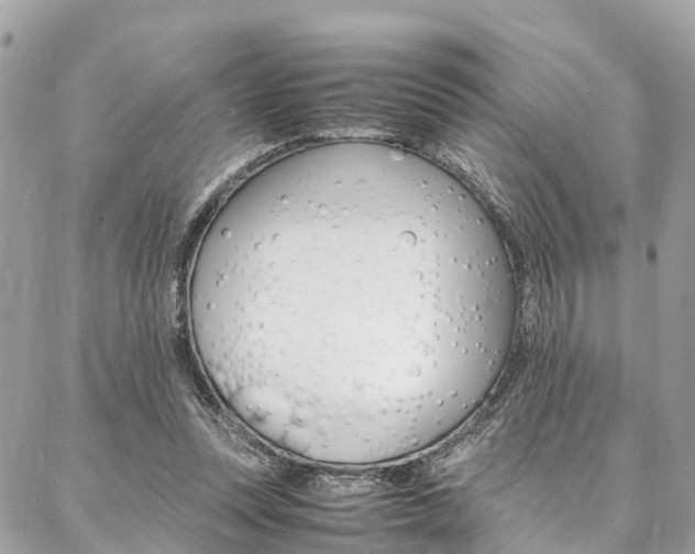 X0000086890351200704161011