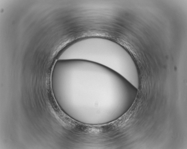 X0000086890352200704161011