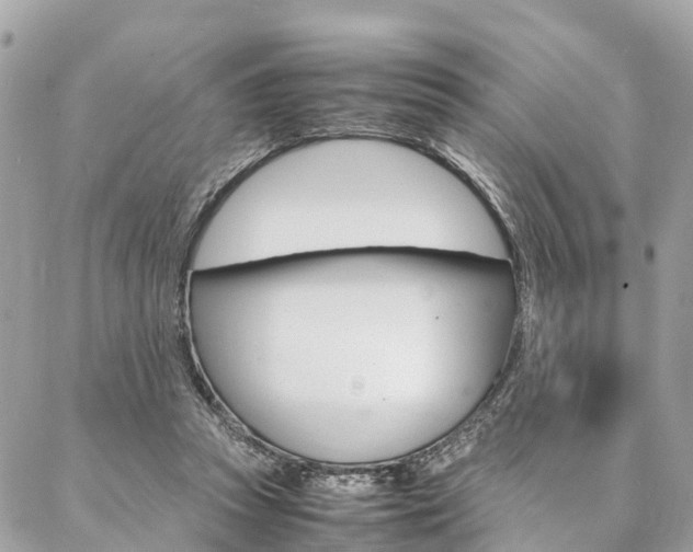 X0000086890353200704161011