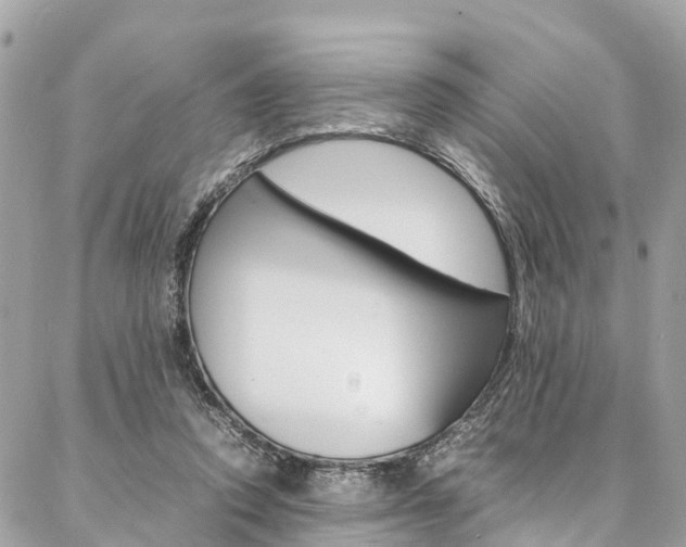 X0000086890354200704161011