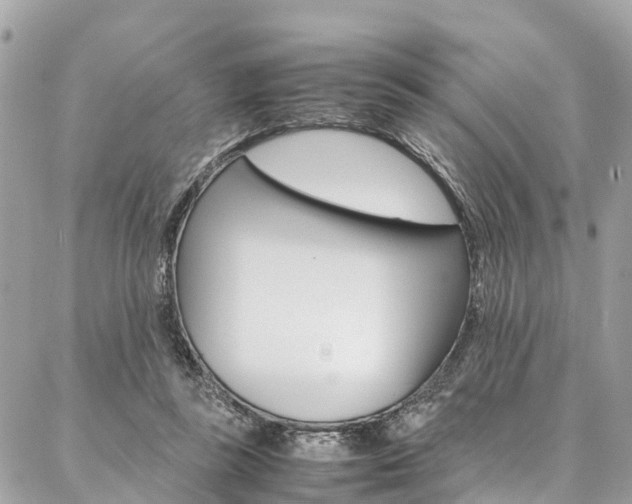 X0000086890355200704161011