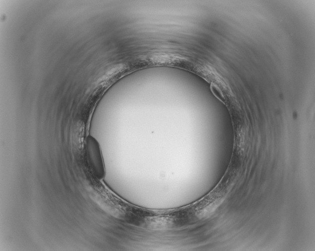 X0000086890356200704161011