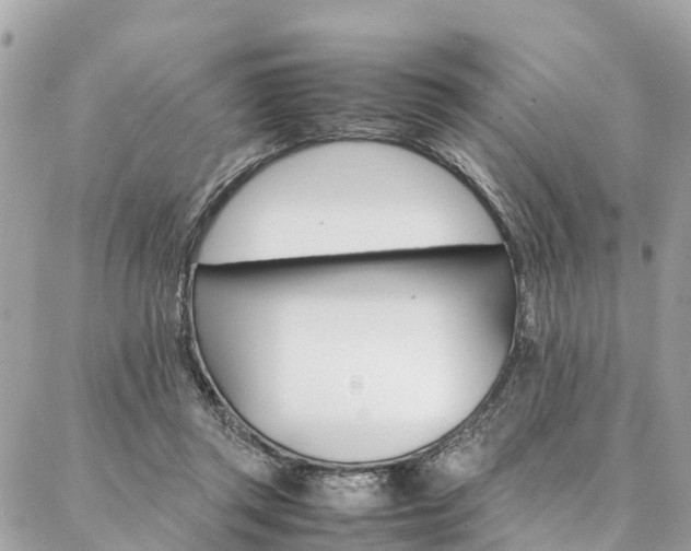 X0000086890357200704161011