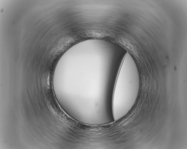 X0000086890358200704161011