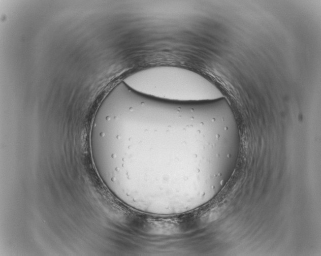 X0000086890359200704161012