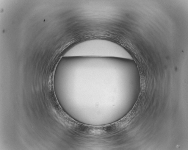 X0000086890360200704161012