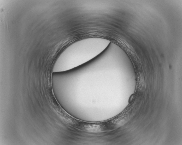 X0000086890361200704161012