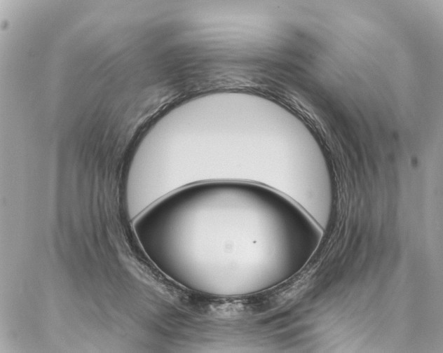 X0000086890362200704161012