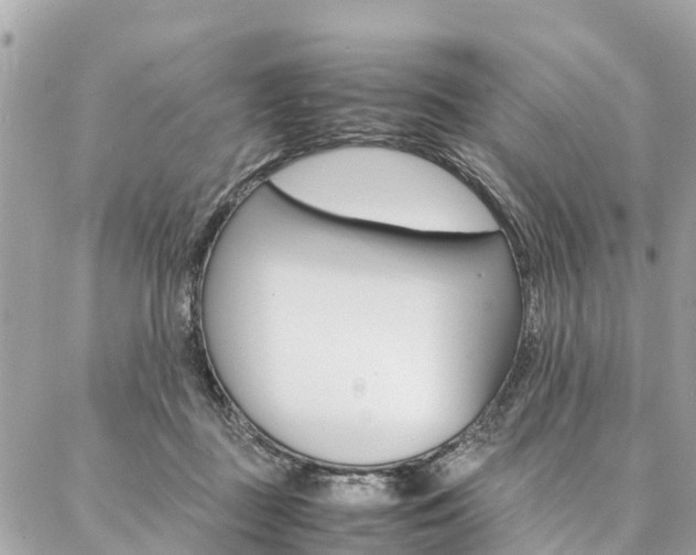 X0000086890363200704161012