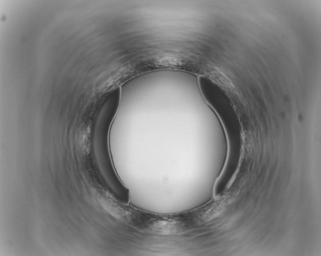 X0000086890364200704161012