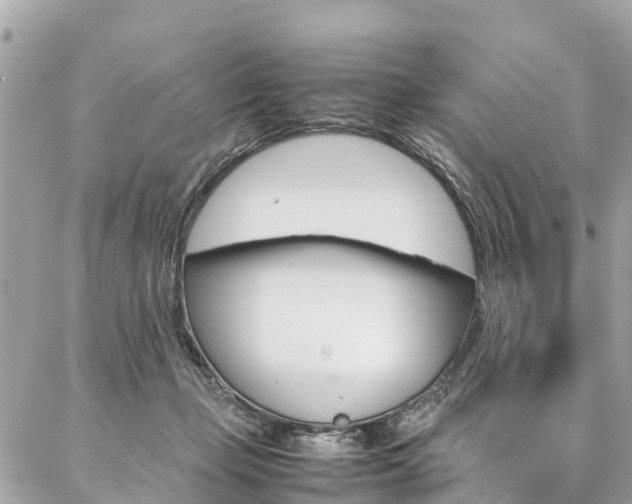 X0000086890365200704161012