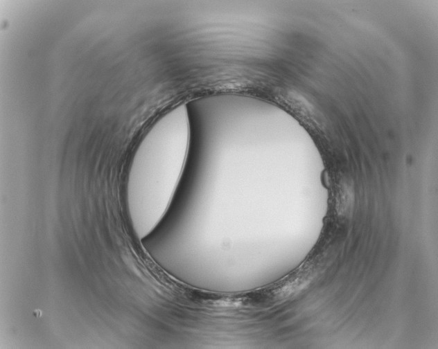 X0000086890366200704161012